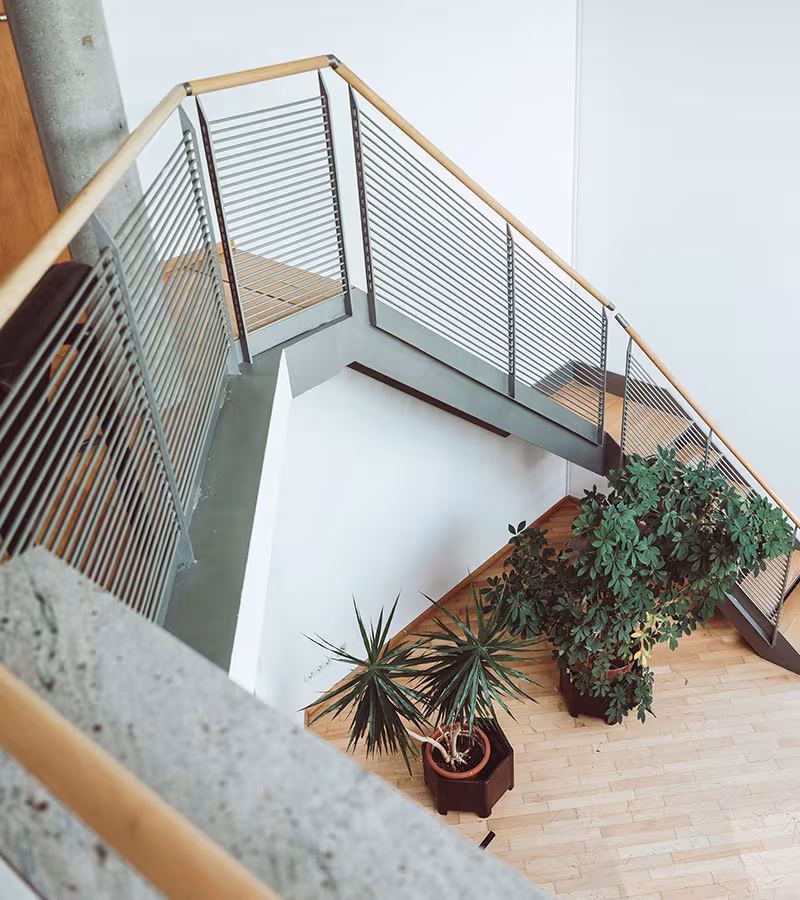 Steuernews von Fidelis